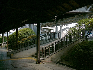 回廊からの階段を斜めに俯瞰して。両脇に緑の植え込みが見られる。