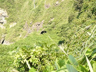 崖に掘られたトンネル