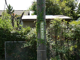 緑の街区表示板