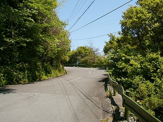 舗装路の上り坂。両脇は木々が茂る。