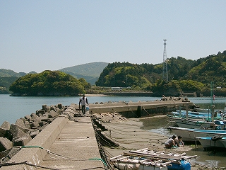 埠頭にて。幾艘もの舟が繋留されている。
