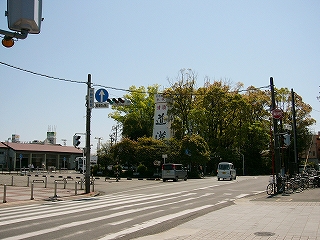 駅前エリア。樹木に囲まれた清酒の広告塔。