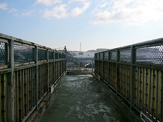 柵は低めで路面が緑色の跨線橋。
