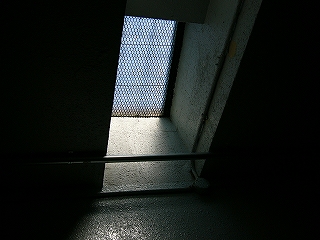 網を被せた穴から光が差し込んでいる。