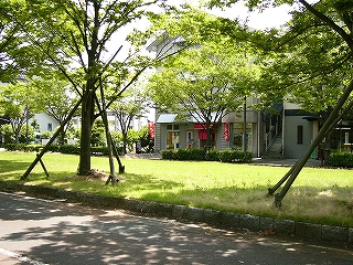 芝生の輝く緑地帯の向こうにある赤いのぼりを立てた喫茶店。