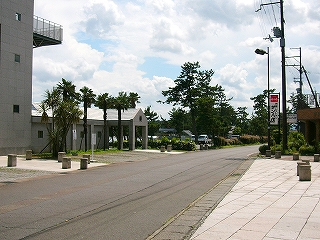 中央線のないアスファルトの道路。道の湖側には椰子の木などの緑が多い。右手に赤い看板の喫茶店。