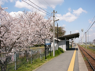 桜並木と棒線ホーム。