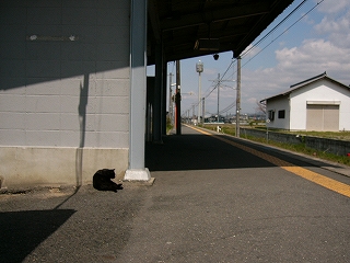 待合所の壁と黒猫。