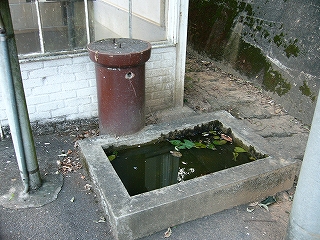 とても短いこげ茶の煙突のようなものと厚みのあるコンクリートで囲われた水場。水場には濃い緑の水がたまっている。
