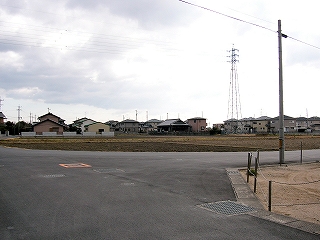 住宅街のごく一般的なアスファルトの道路に囲まれてある田、そのすぐ奥に住宅が並ぶ。