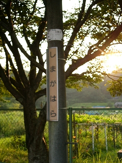 細い電柱に取り付けられた縦長の駅名標