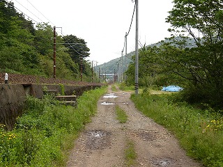 未舗装の道、左の小高い位置に線路、右にまばらな樹木。