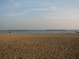 砂浜と海。