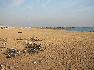 自転車の倒れたままになった砂浜。