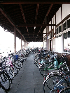 二列にびしっと並ぶ自転車。